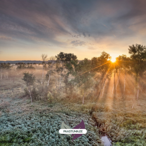 KIIREIM TEE RAHU JA SELGUSENI