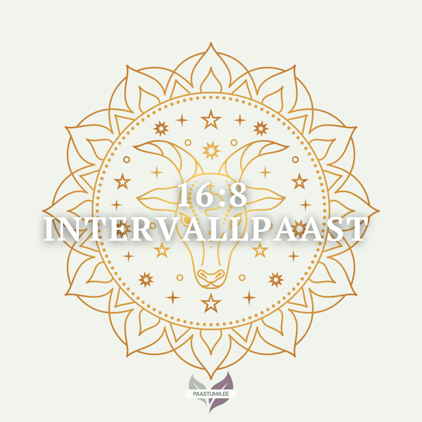 16:8 INTERVALLPAAST