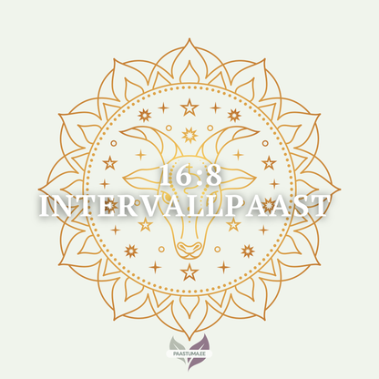 16:8 INTERVALLPAAST